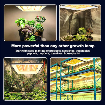 KOSCHEAL KT600 65W LED Grow Light, 2.9 µmol/J Full Spectrum